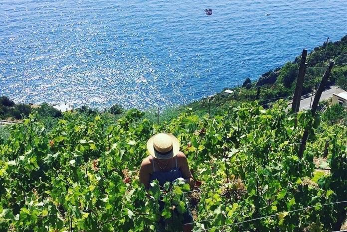 Villa Refuge Uwabio Organic Vineyard Cinqueterre à Riomaggiore Extérieur photo