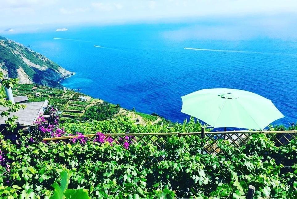 Villa Refuge Uwabio Organic Vineyard Cinqueterre à Riomaggiore Extérieur photo